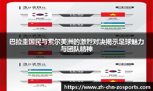 中欧体育