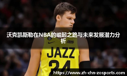 中欧体育官网