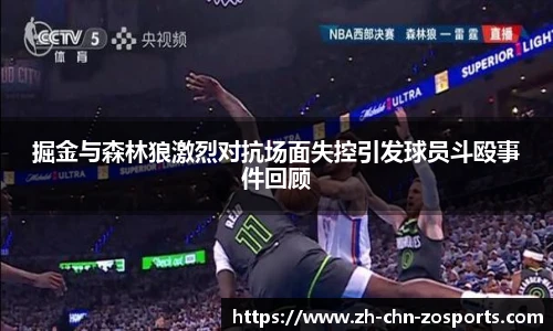 中欧体育