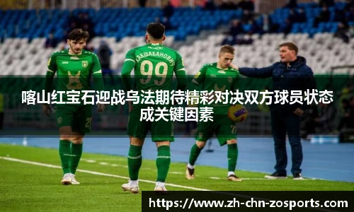 中欧体育官网