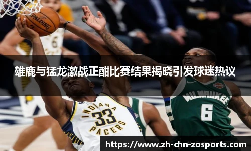 中欧体育
