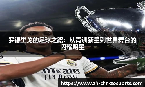 中欧体育官方网站