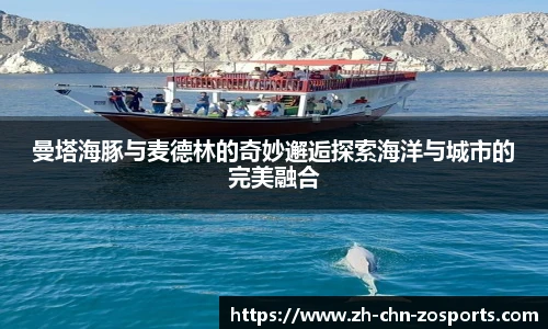 中欧体育官网